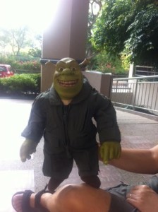 shrek in an SAF flight suit